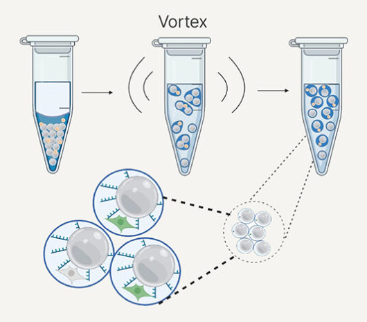 Illumina Single Cell Prep