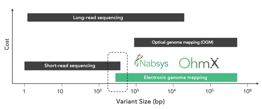 Electronic genome mapping